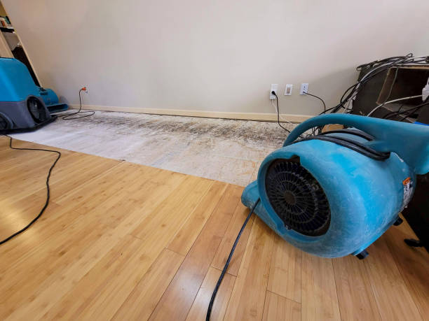 Professional Structural Drying technician working in Missouri City, TX